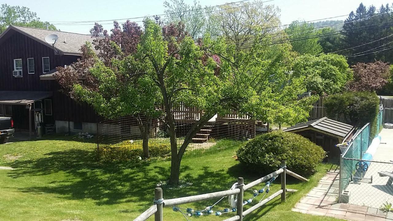 Nassau Motel Лейк Джордж Екстериор снимка